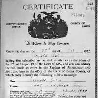 US Zertifikat Dr Palm 