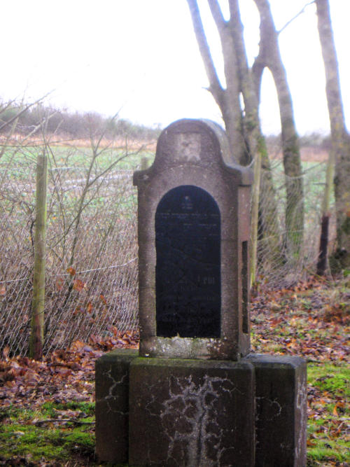 DSCN0007 wb 500